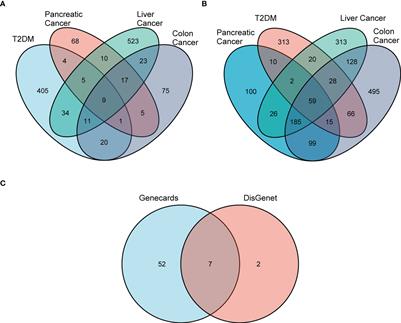 Diabetes mellitus induces a novel inflammatory network involving cancer progression: Insights from bioinformatic analysis and in vitro validation